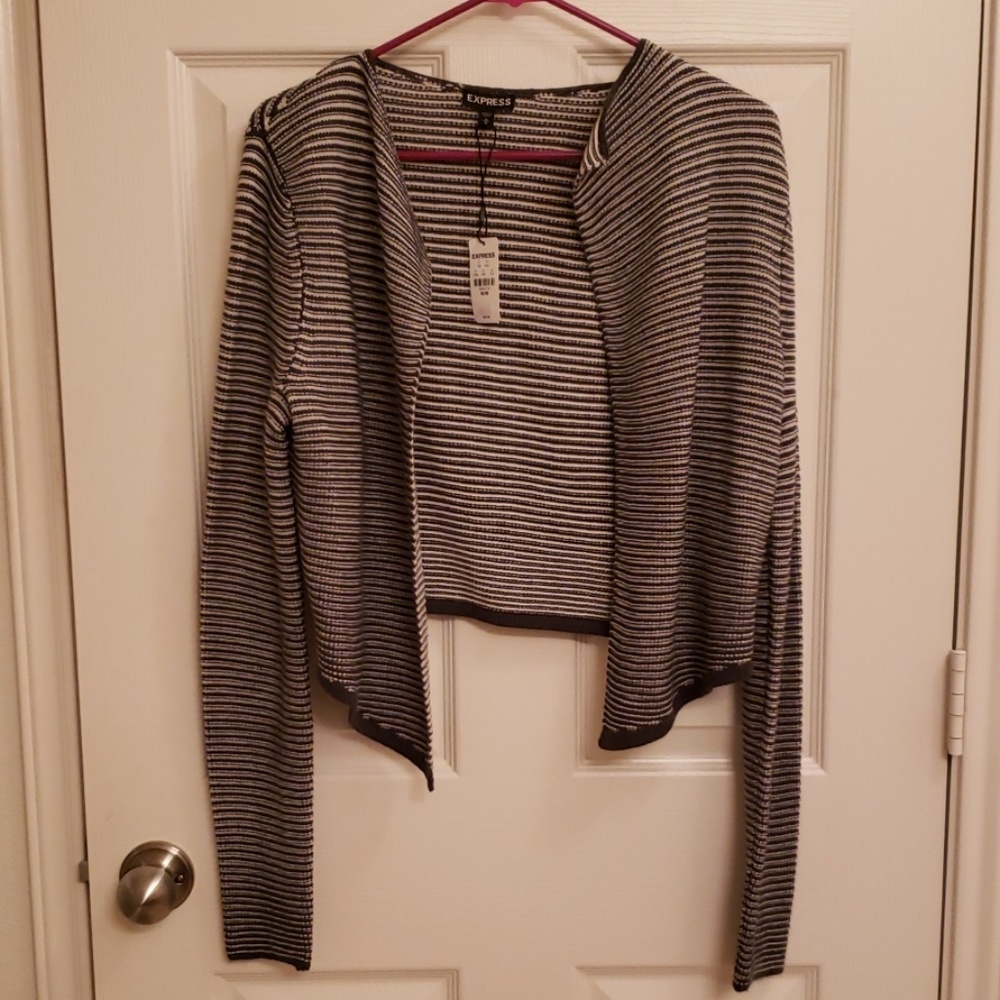 Express Sweater